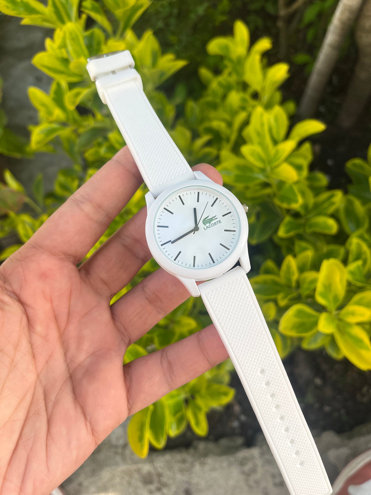 İTHAL LACOSTE 02